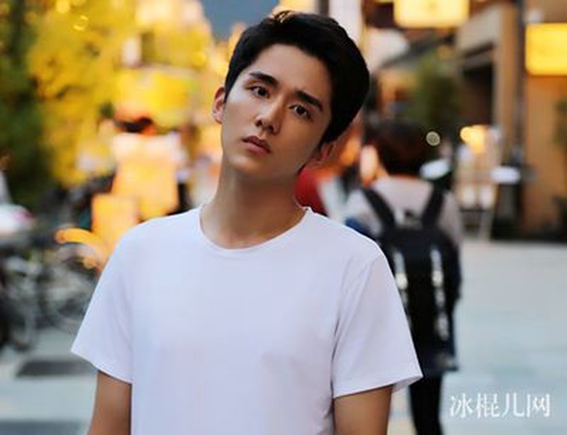 张新成